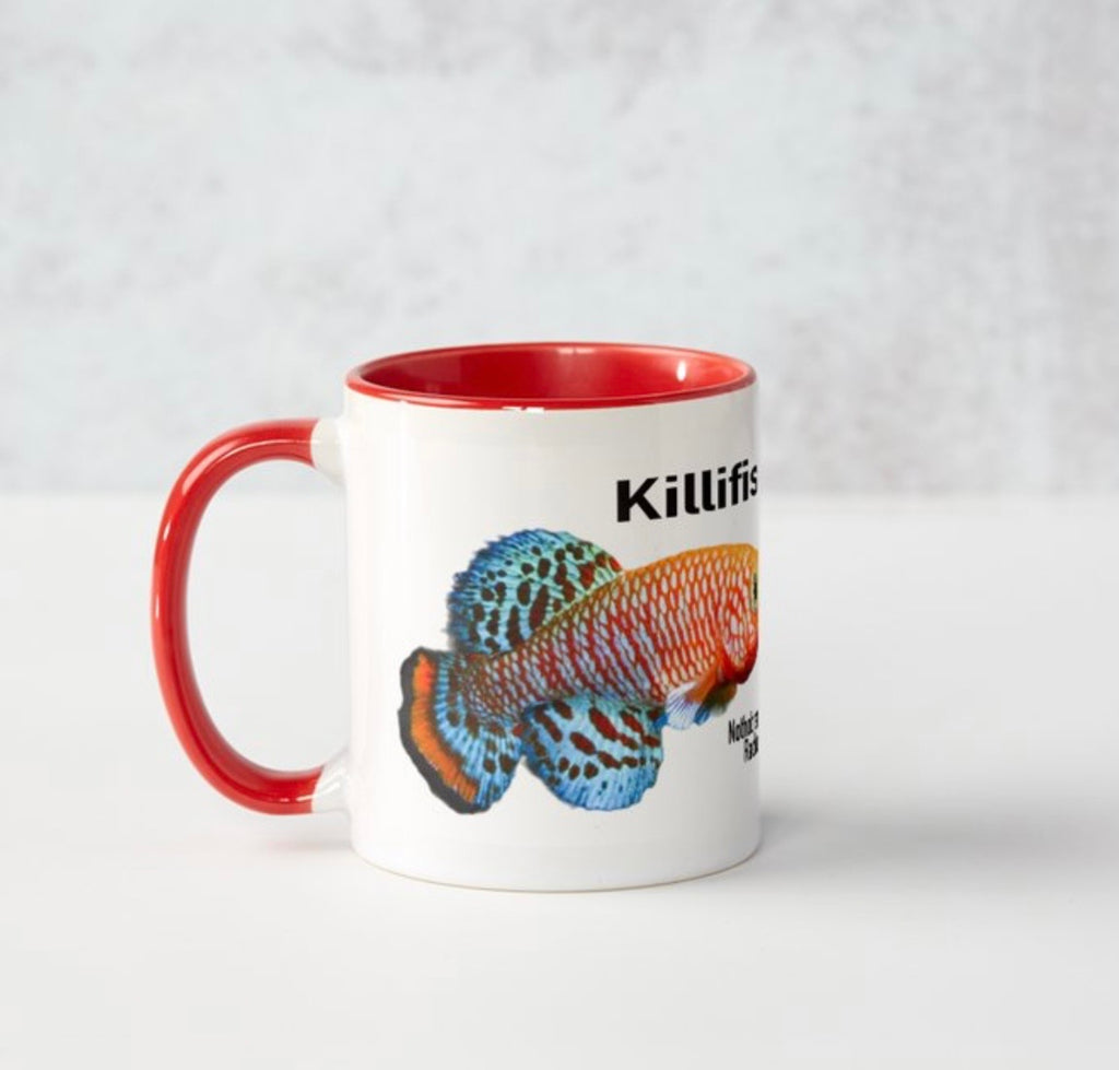 Mug Killifish