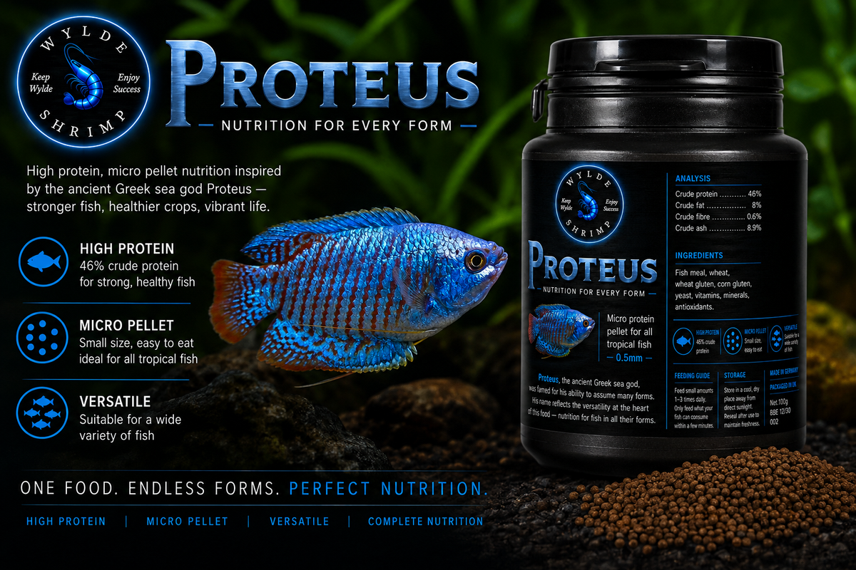 Proteus - staple food for tropical fish