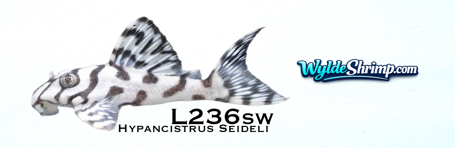Mug L236sw