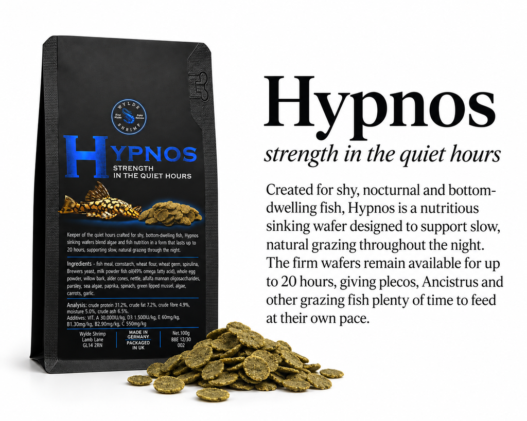 Hypnos - Ancistrus and Grazer staple