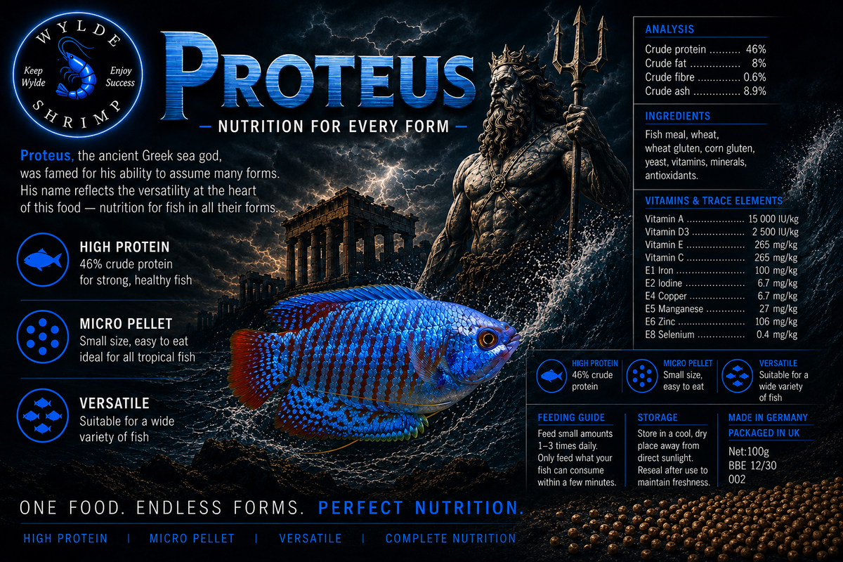 Proteus - staple food for tropical fish