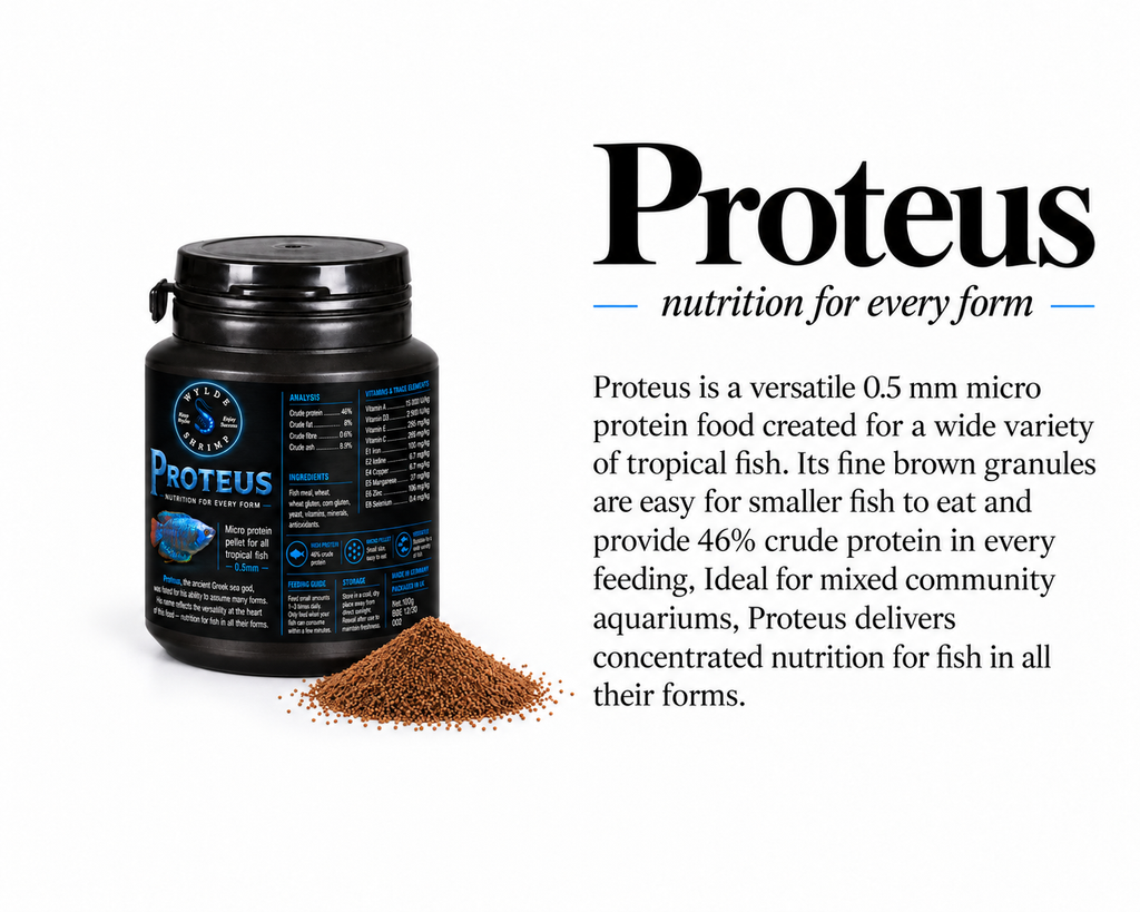 Proteus - staple food for tropical fish