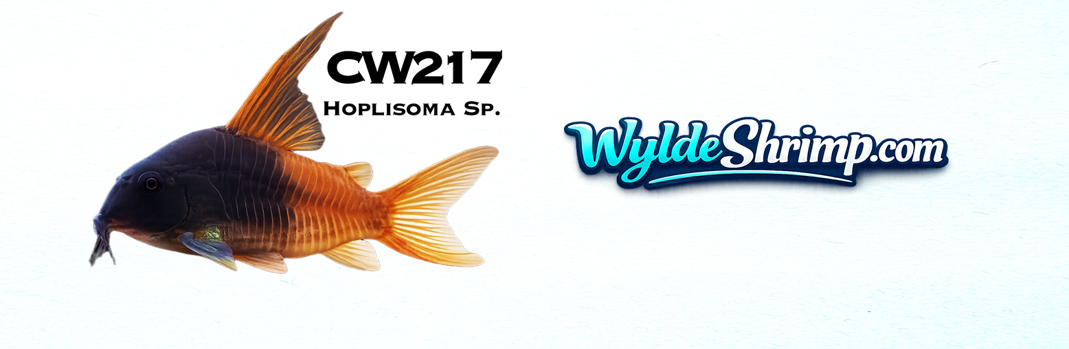 Mug CW217
