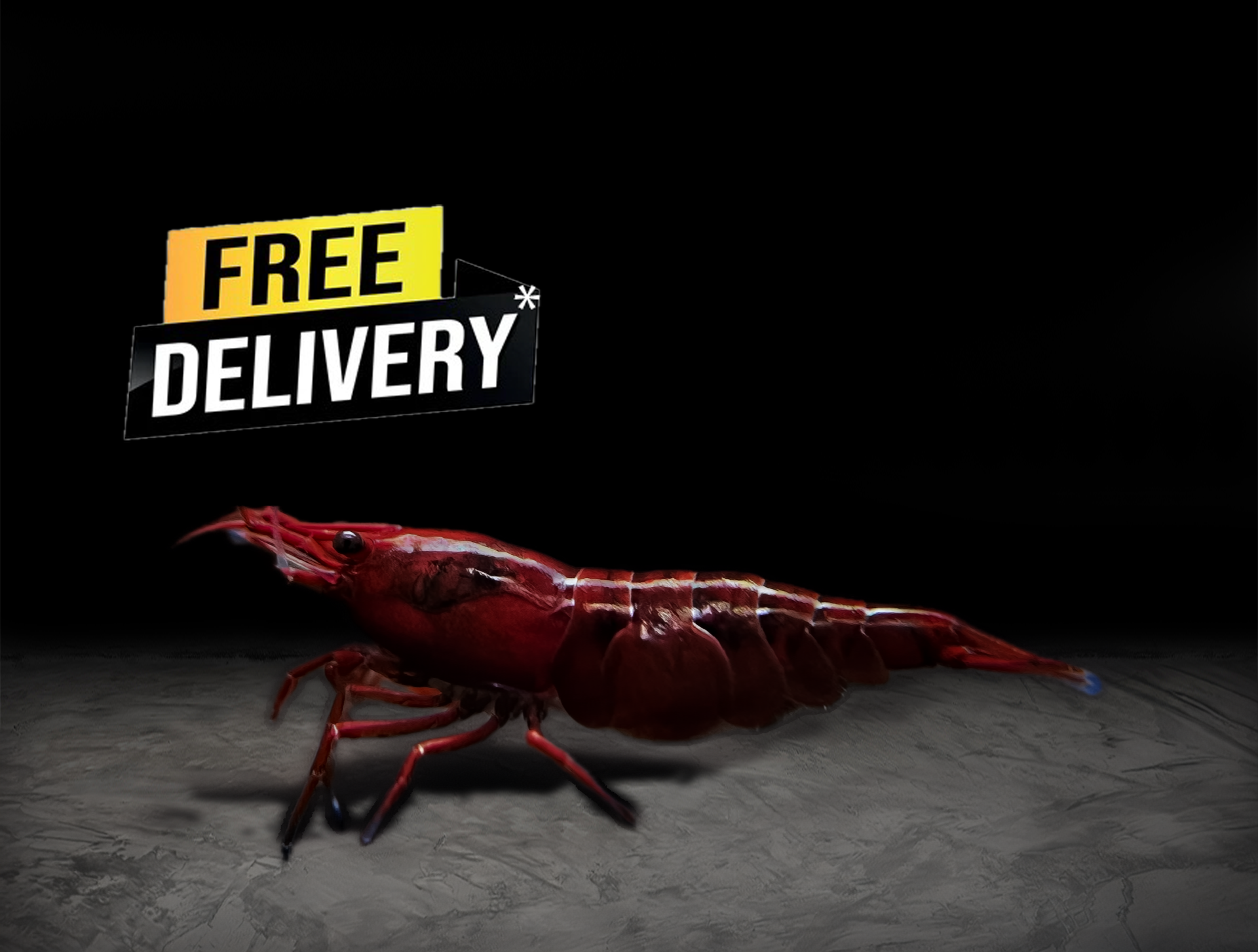 10 High Grade Bloody Mary